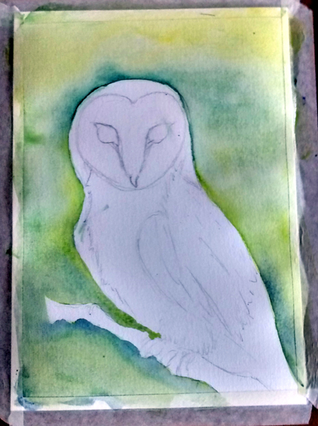 owl_partway