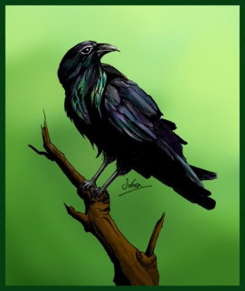 Crow COL FIN_WEB