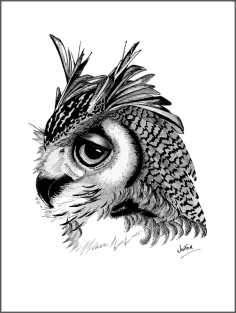owl A4 Ink 2 FIN_WEB